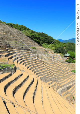 [愛媛縣] 晴空下的玉宿踏著田野 82057894