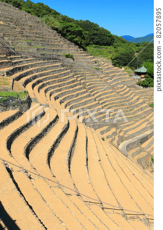 [愛媛縣] 晴空下的玉宿踏著田野 82057895