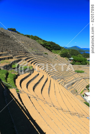 [愛媛縣] 晴空下的玉宿踏著田野 82057898