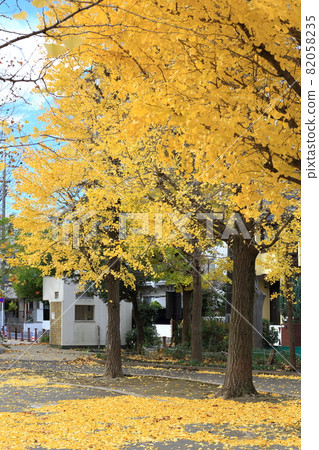 有落葉的秋天公園 有落葉的秋天公園 82058235