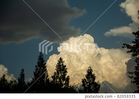天空、雲彩和樹木 天空、雲彩和樹木 82058335