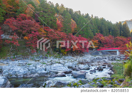 東海首屈一指的紅葉勝地，五彩繽紛的紅嵐溪之秋 82058853
