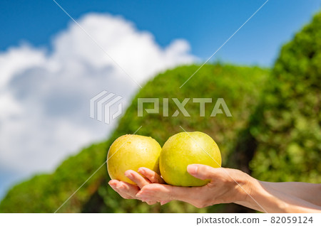 Summer sky and 20th century pear Summer sky and 20th century pear 82059124