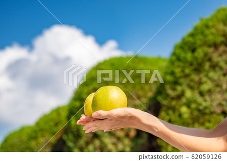 Summer sky and 20th century pear 82059126