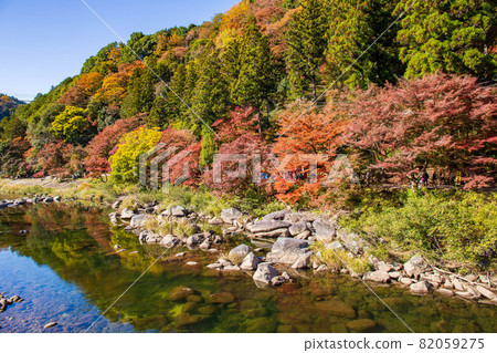 東海首屈一指的紅葉勝地,五彩繽紛的紅嵐溪之秋 東海首屈一指的紅葉勝地,五彩繽紛的紅嵐溪之秋 82059275