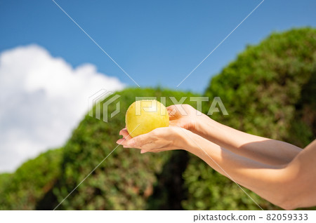 Summer sky and 20th century pear 82059333