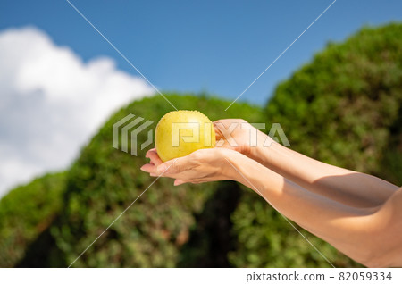 Summer sky and 20th century pear 82059334