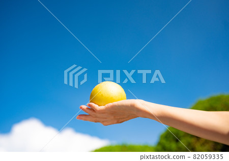 Summer sky and 20th century pear 82059335
