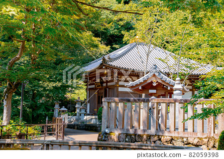 Hasegaji的夏天 82059398