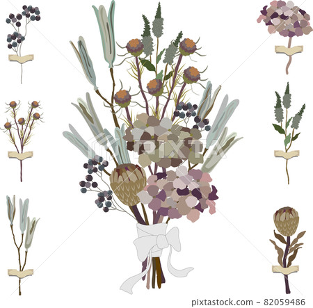 乾花、花束、繡球花 乾花、花束、繡球花 82059486