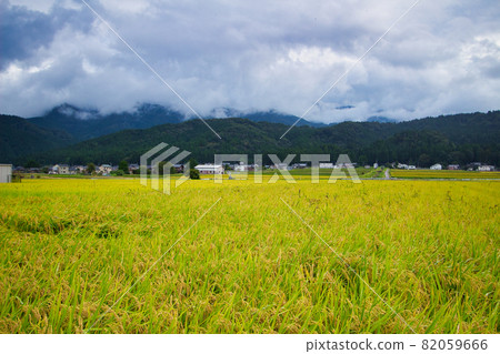 富山縣朝日町山崎地區九月小雨中的里山 82059666