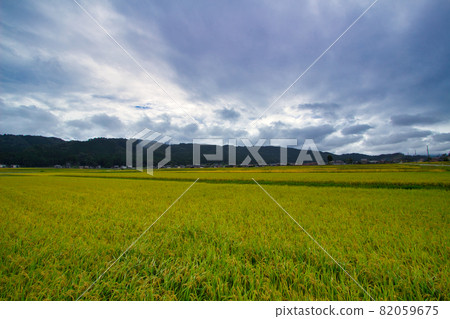 Satoyama in the light rain approaching clouds in September in the Yamazaki district of Asahi Town, Toyama Prefecture Satoyama in the light rain approaching clouds in September in the Yamazaki district of Asahi Town, Toyama Prefecture 82059675