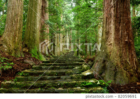 熊野古道大門坂[和歌山縣東室區那智勝浦町] 82059691