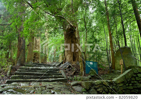 Kumano Kodo Daimonzaka (Prince Tatomi) [Nachikatsuura Town, Higashimuro District, Wakayama Prefecture] 82059820