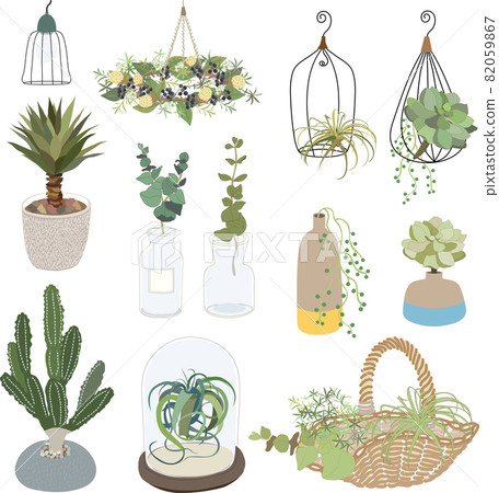 多肉植物和綠色內飾 82059867