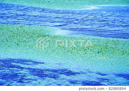 Lake Toro in summer Lake Toro in summer 82060804