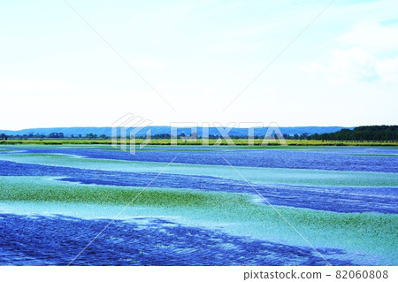 夏天的托羅湖 82060808