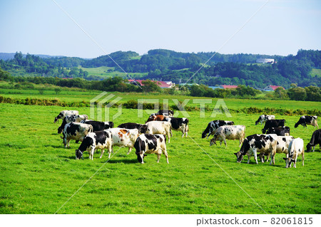 Ranch scenery Ranch scenery 82061815