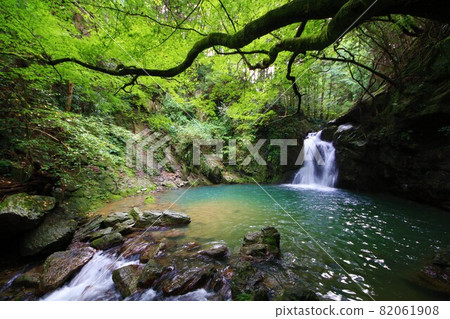 Fresh green and Seniwa Falls 82061908