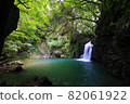 Fresh green and Seniwa Falls 82061922