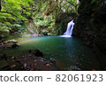 Fresh green and Seniwa Falls 82061923