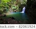 Fresh green and Seniwa Falls 82061924