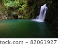 Fresh green and Seniwa Falls 82061927