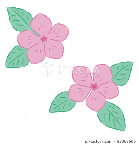 Illustration of daily grass Illustration of daily grass 82062609