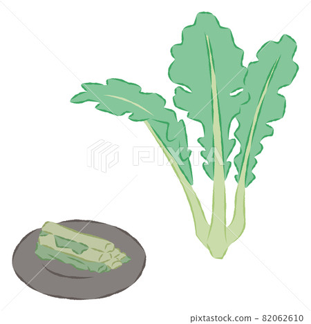 野澤菜的插圖 82062610