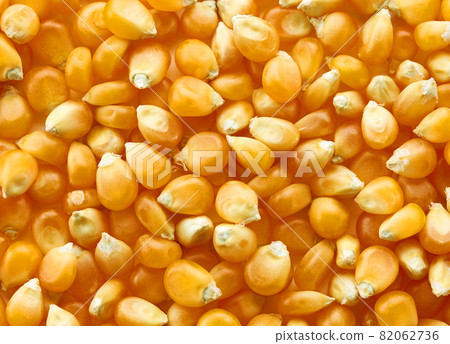 corn grains background corn grains background 82062736