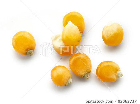 corn grains macro corn grains macro 82062737