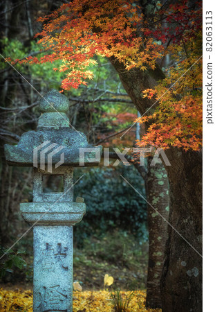 Scenery of stone lanterns and autumn leaves at the shrine Scenery of stone lanterns and autumn leaves at the shrine 82063113