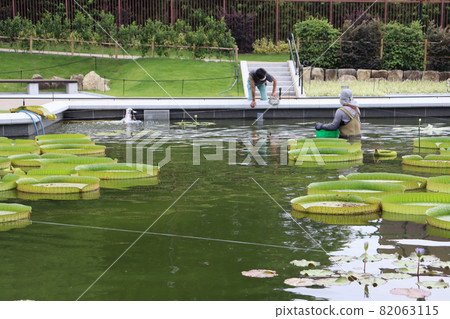 Garden maintenance_Onibus_06 82063115