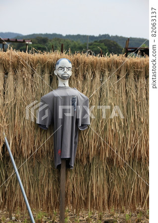 Rice harvesting and scarecrow autumn scenery Rice harvesting and scarecrow autumn scenery 82063137
