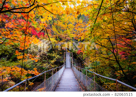 Hanamaki Onsenkyo,染成秋天的顏色 Hanamaki Onsenkyo,染成秋天的顏色 82063515