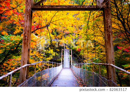 Hanamaki Onsenkyo, dyed in autumn colors Hanamaki Onsenkyo, dyed in autumn colors 82063517