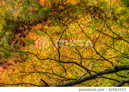 Hanamaki Onsenkyo,染成秋天的顏色 Hanamaki Onsenkyo,染成秋天的顏色 82063533