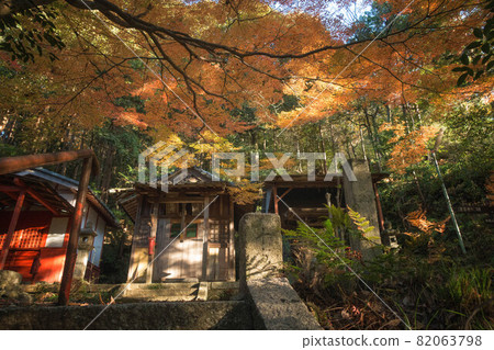 滋賀縣米原市金碧羅大權元院內的神社和秋景 82063798