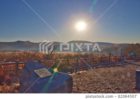 Yashima Marsh in late autumn 82064507
