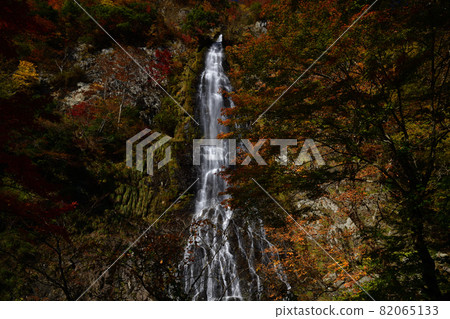 Tendaki秋葉 82065133