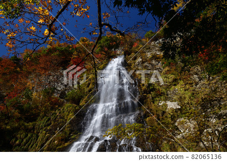 Tendaki秋葉 82065136