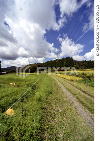 秋天Nakasendo 82065315