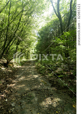 Nakayama Road 82065321