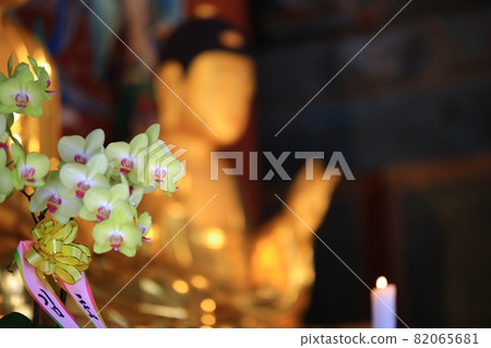 很多花，遙不可及的愛 82065681