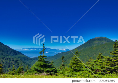 日本長野八岳森林和中阿爾卑斯山 日本長野八岳森林和中阿爾卑斯山 82065869