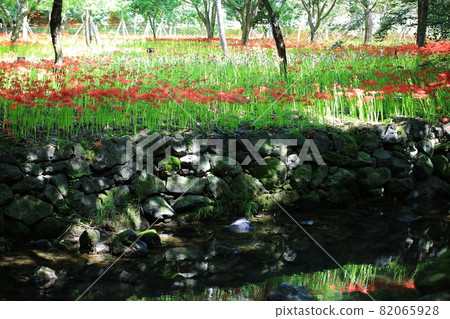 秋天的風景，單戀 82065928