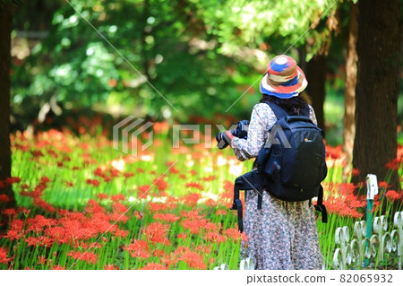 秋天的風景，單戀 82065932