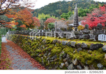 京都市奧笠野念佛寺 深秋靜謐美麗 82066265