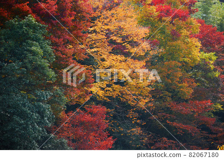 Autumn in the suburbs 82067180