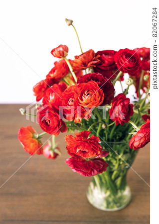 Red persian buttercups in a glass vase on wooden table. Ranunculus asiaticus. 82067284
